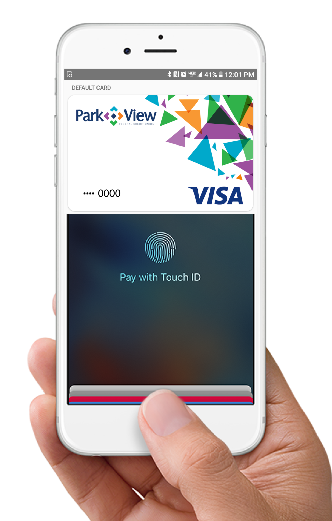 hand with phone and Apple Pay image
