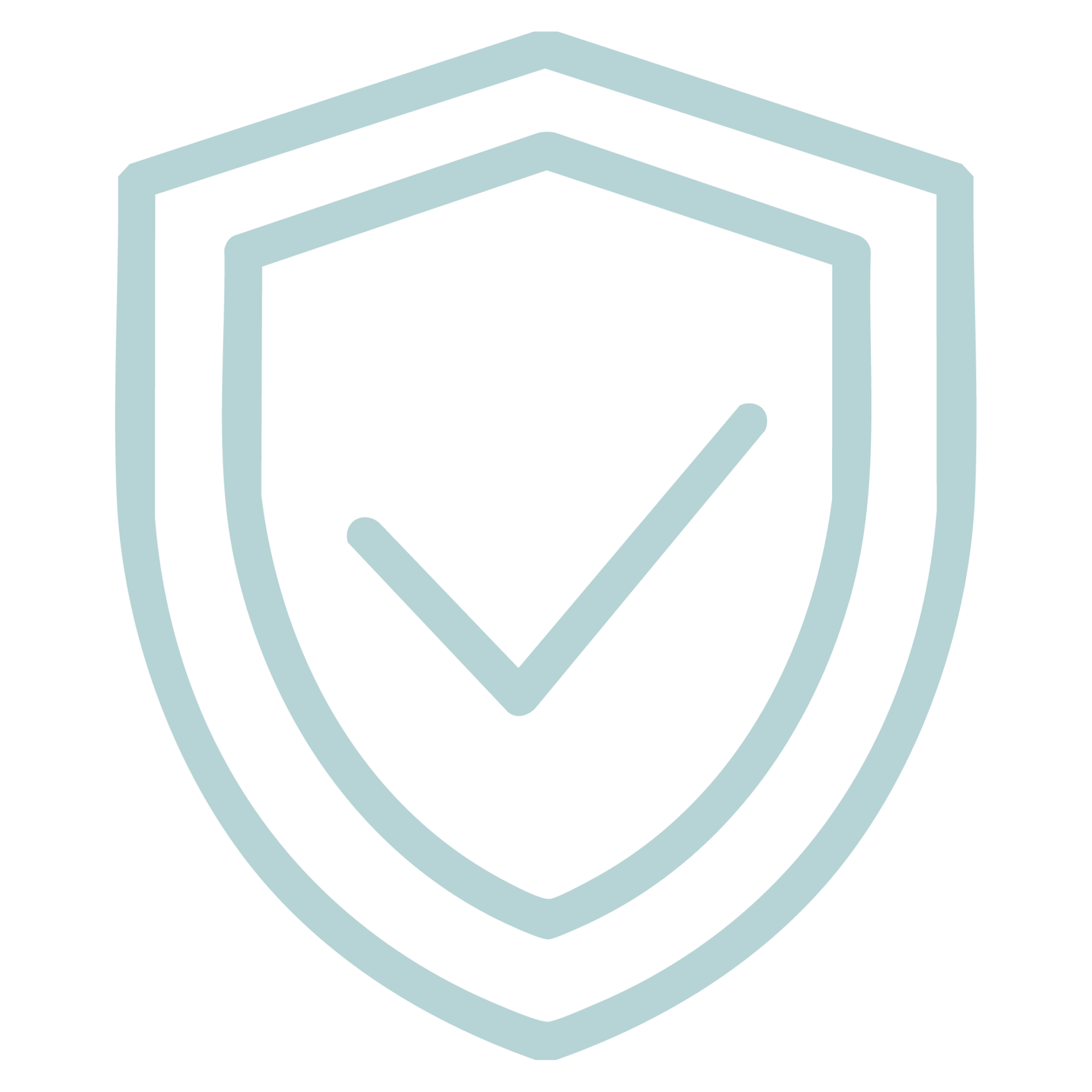Debit Card Website Icons Zero Liability Protection