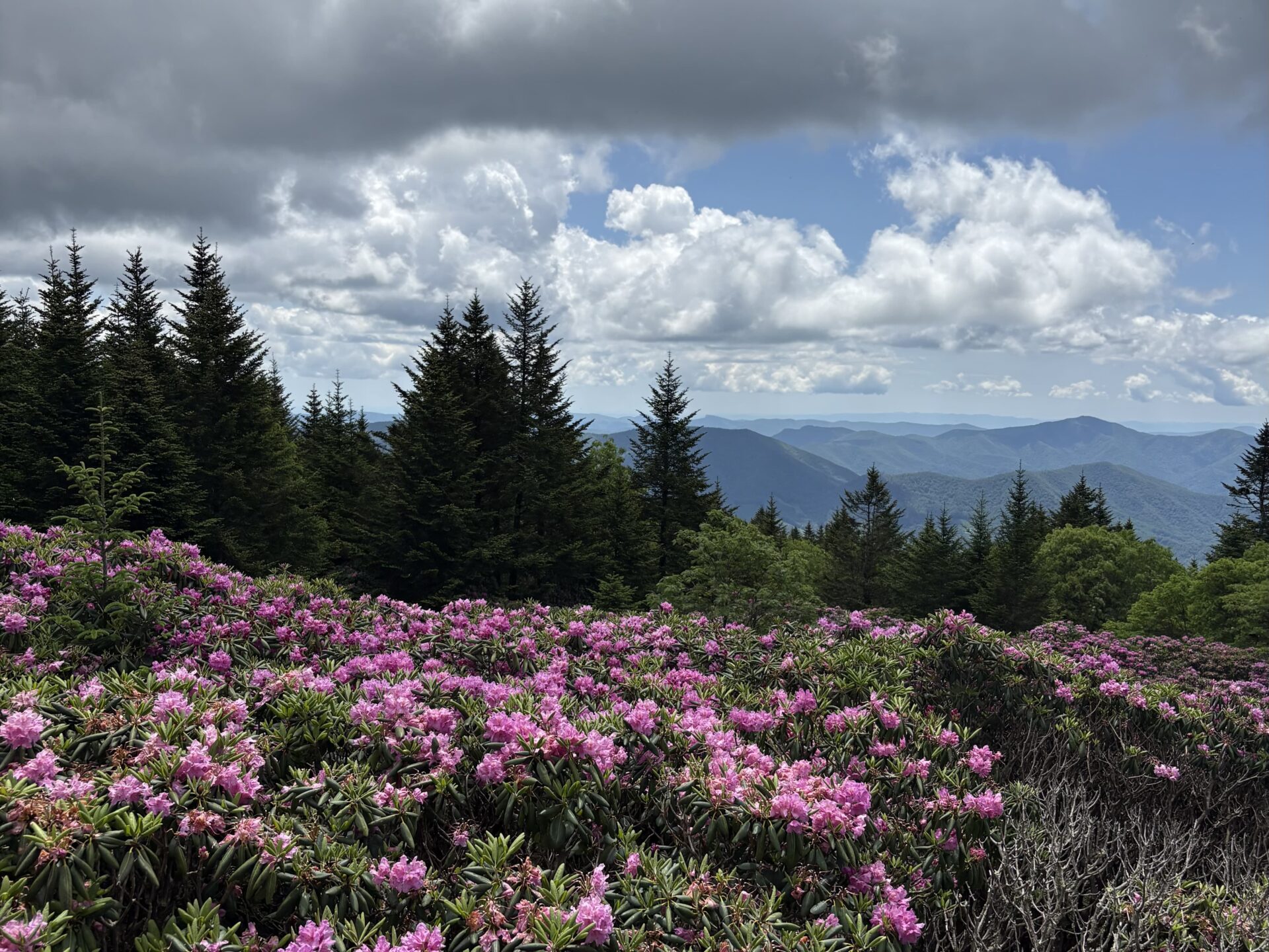 Evie Leichty Blue Ridge Mountians Min