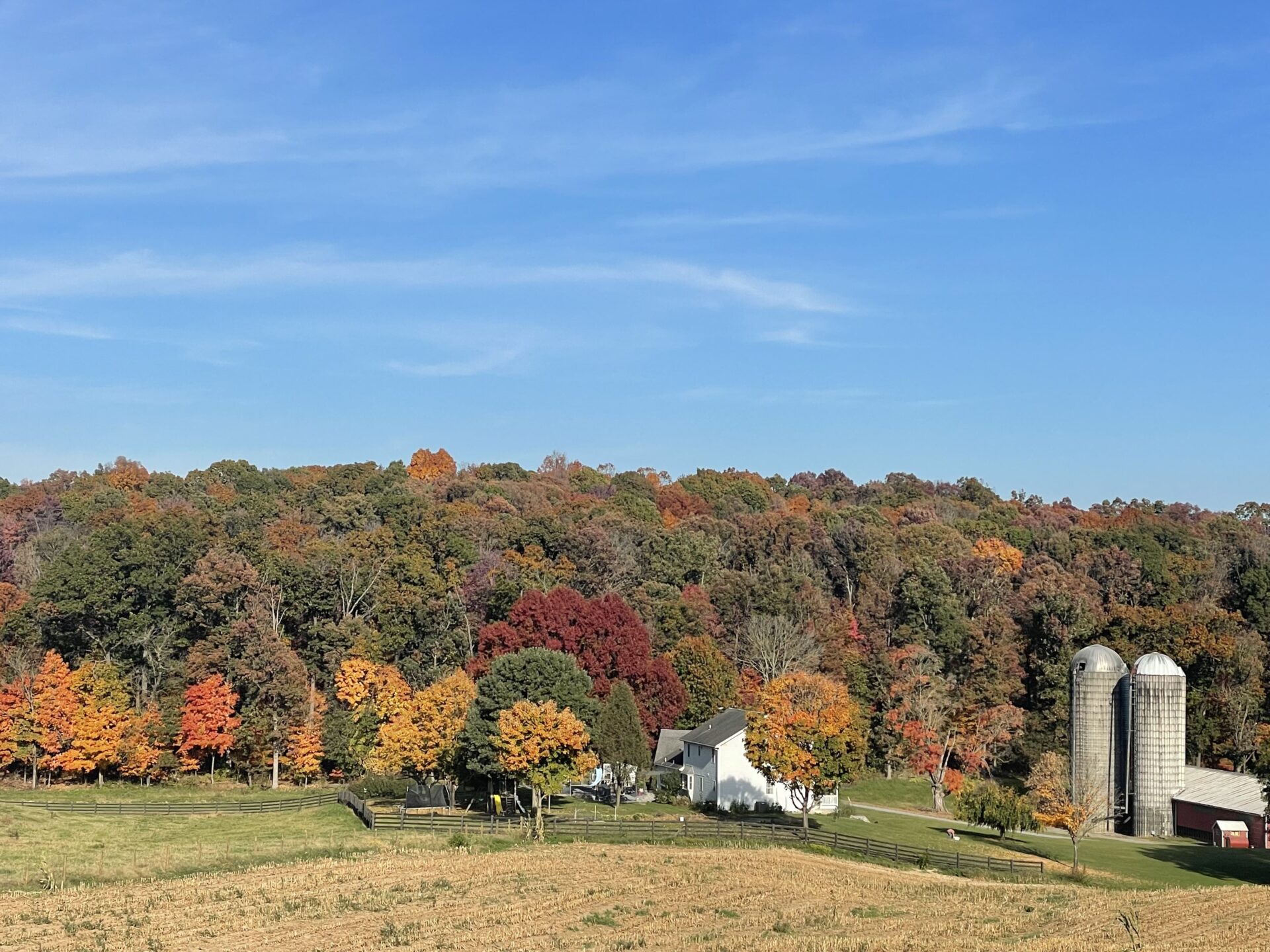 Ruby Showalter Harvest Colors Min