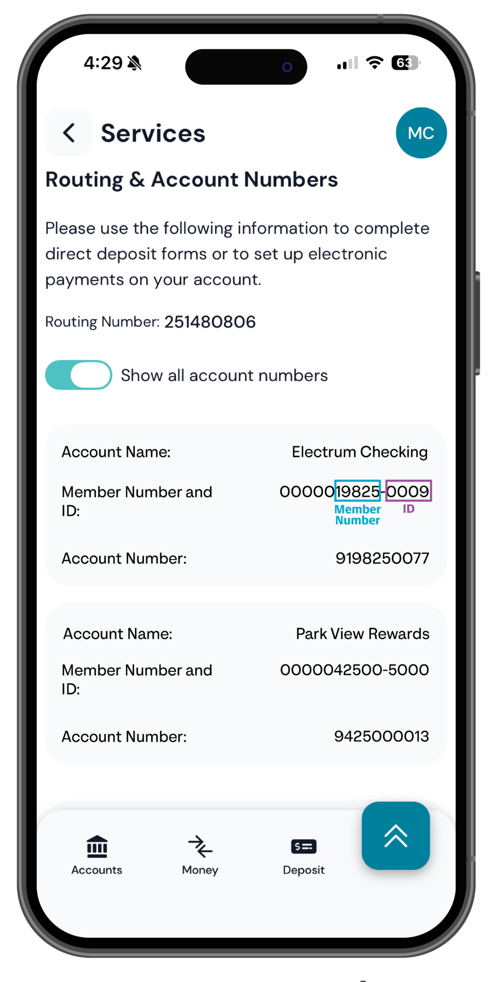 Mobile app screen displaying routing and account numbers for easy reference.