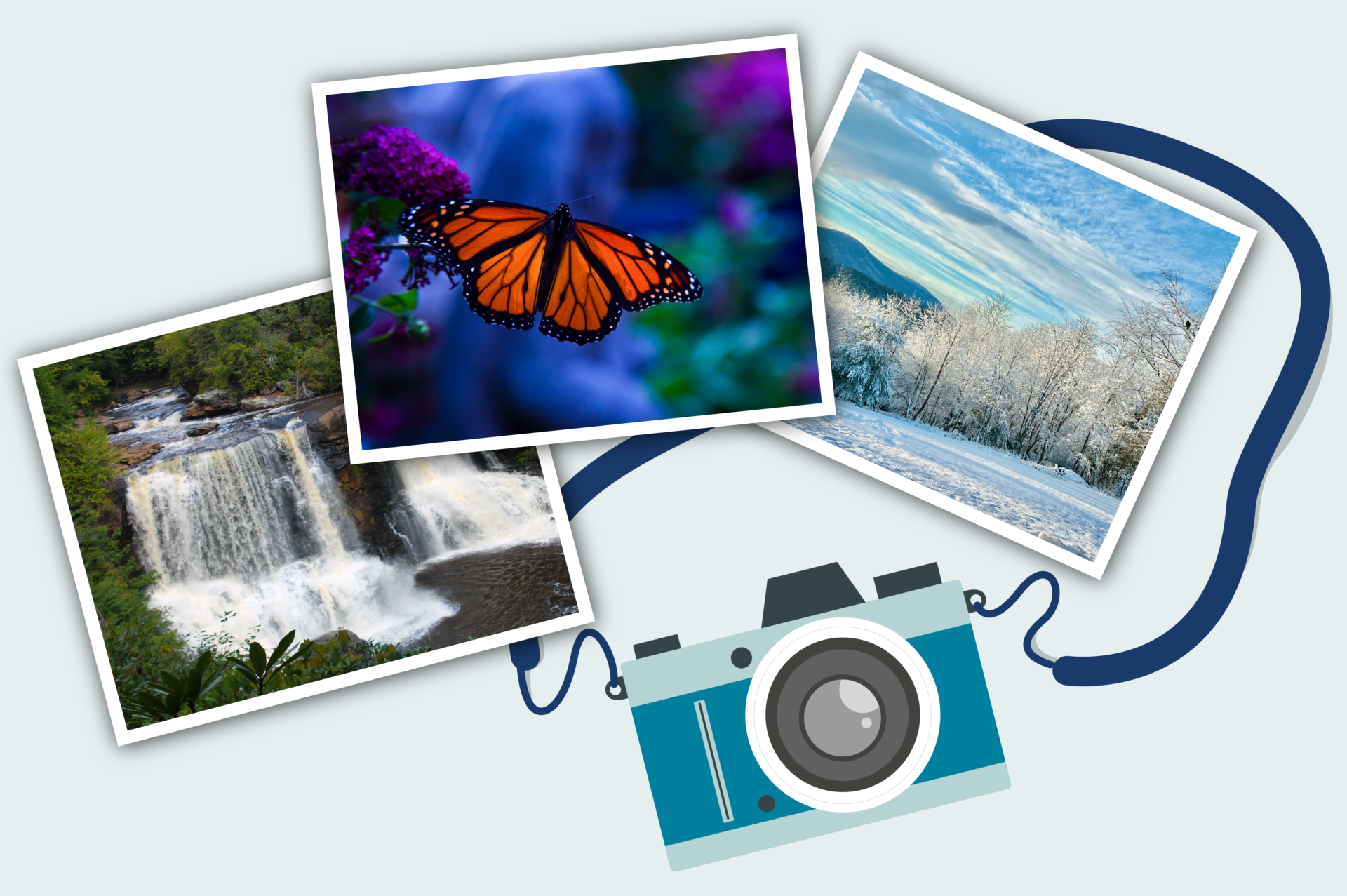 Image of photos with camera.