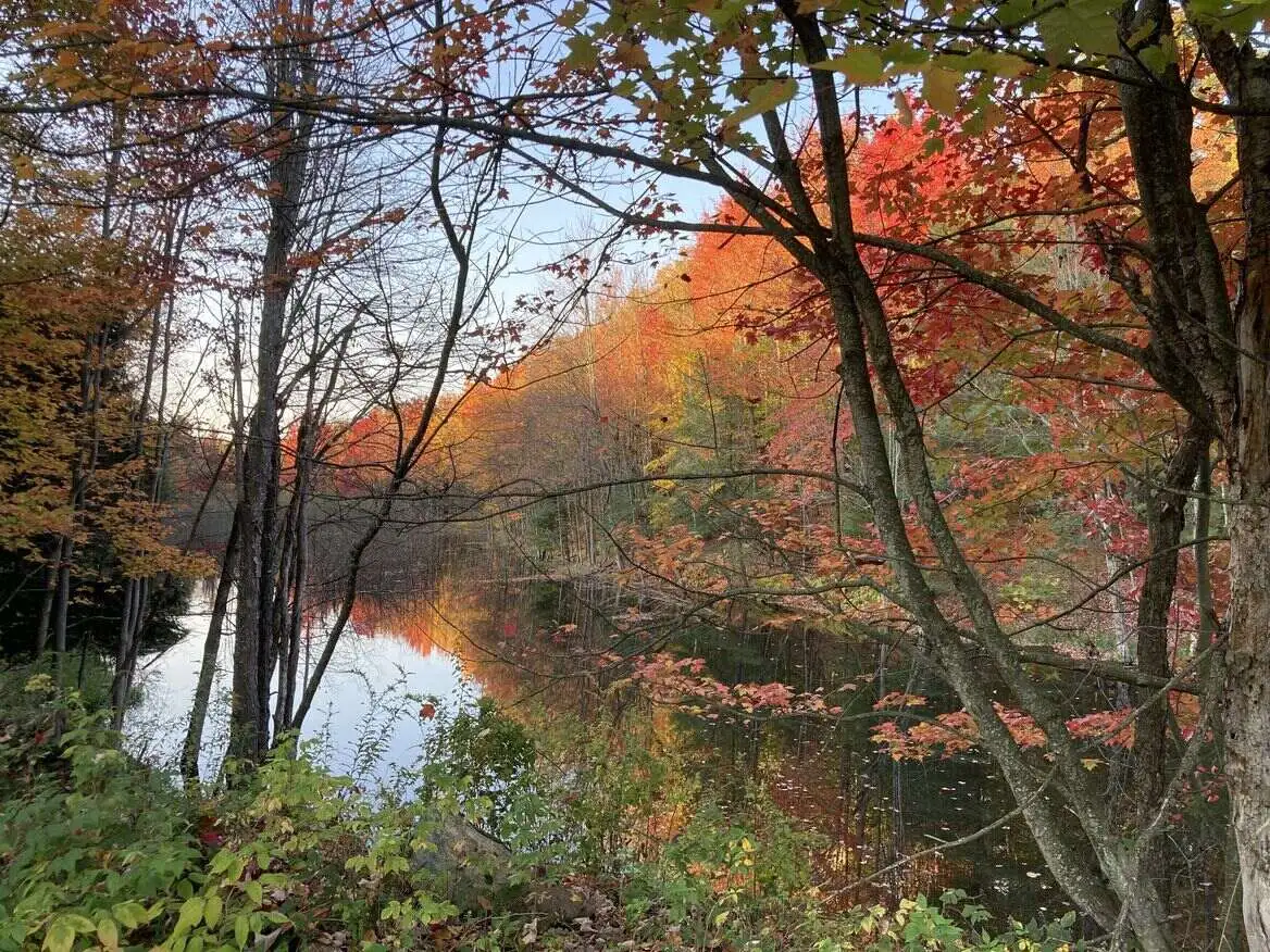 Serene autumn scene with colorful trees reflecting on a calm lake, capturing the beauty of fall.