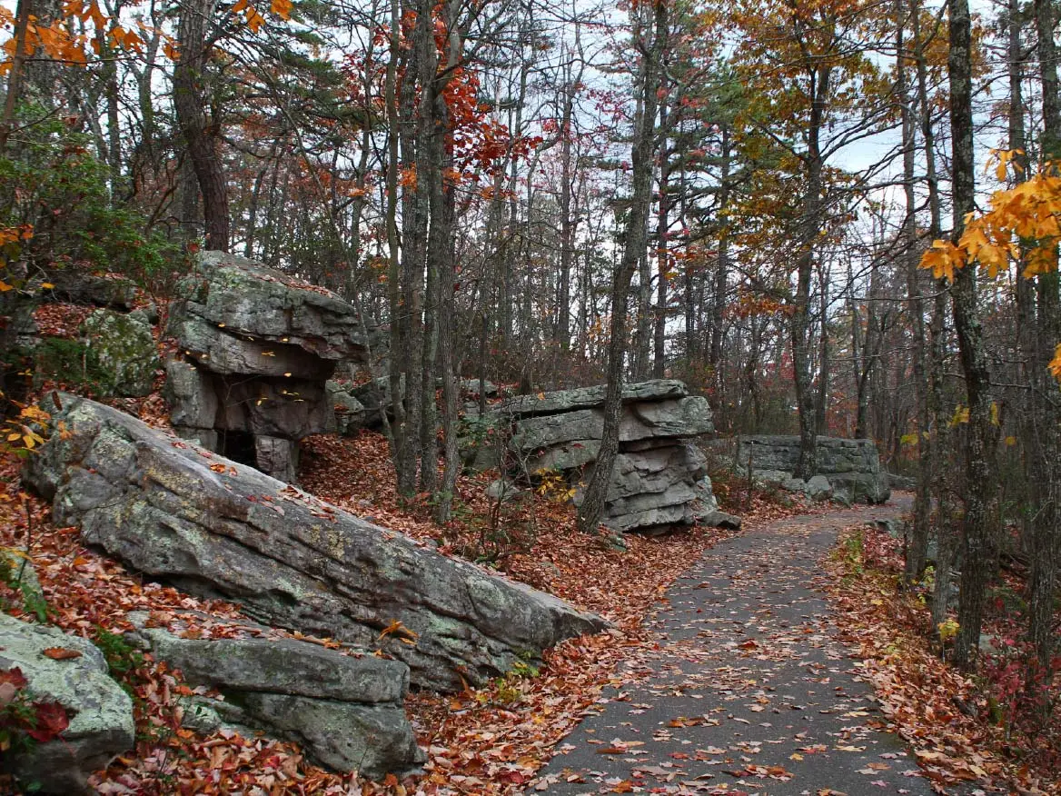 A winding path through a wooded area, lined with rocks and scattered leaves.