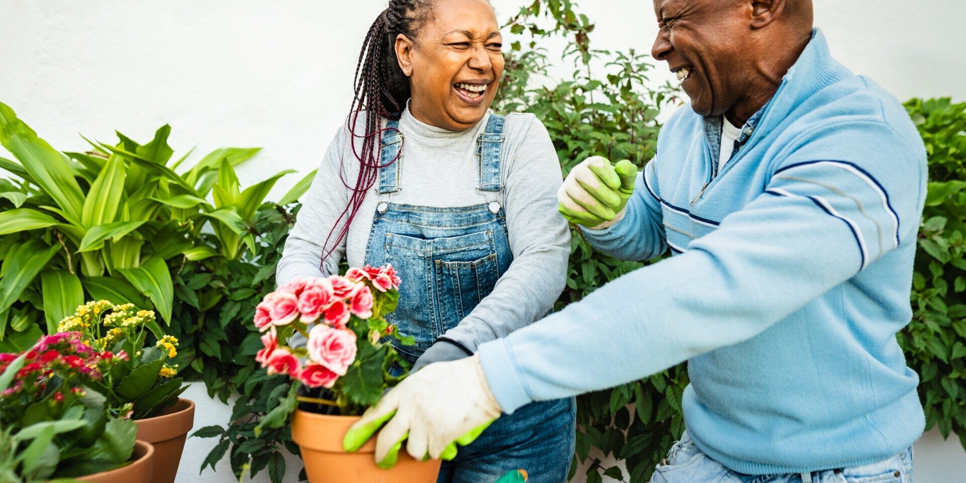 An older couple joyfully planting colorful flowers in a pot, showcasing their love for gardening and nature.