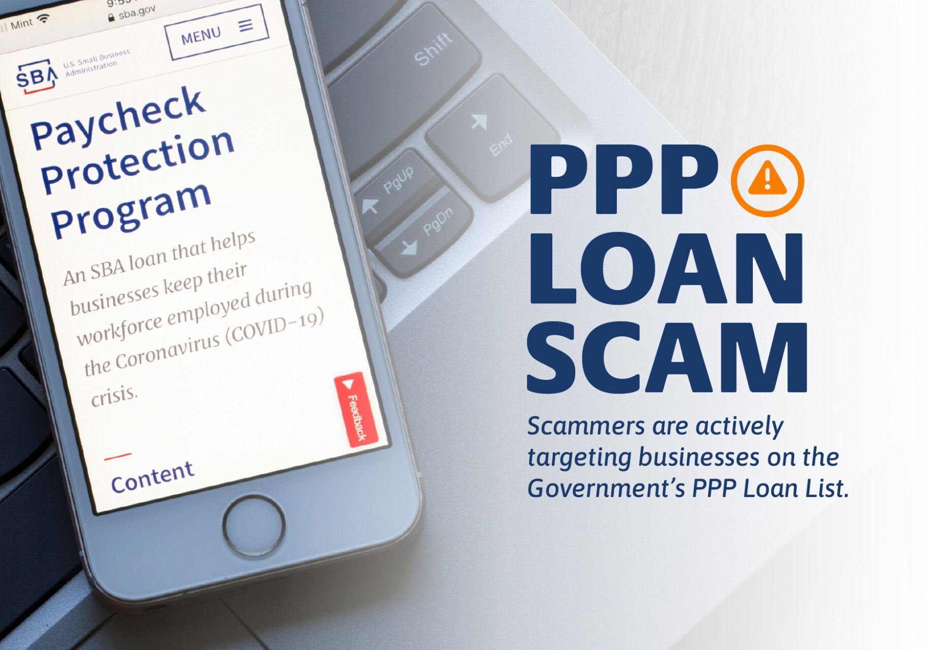 Graphic stating "PPP Loan Scam Alert. Scammers are actively targeting businesses on the Government’s PPP Loan List."