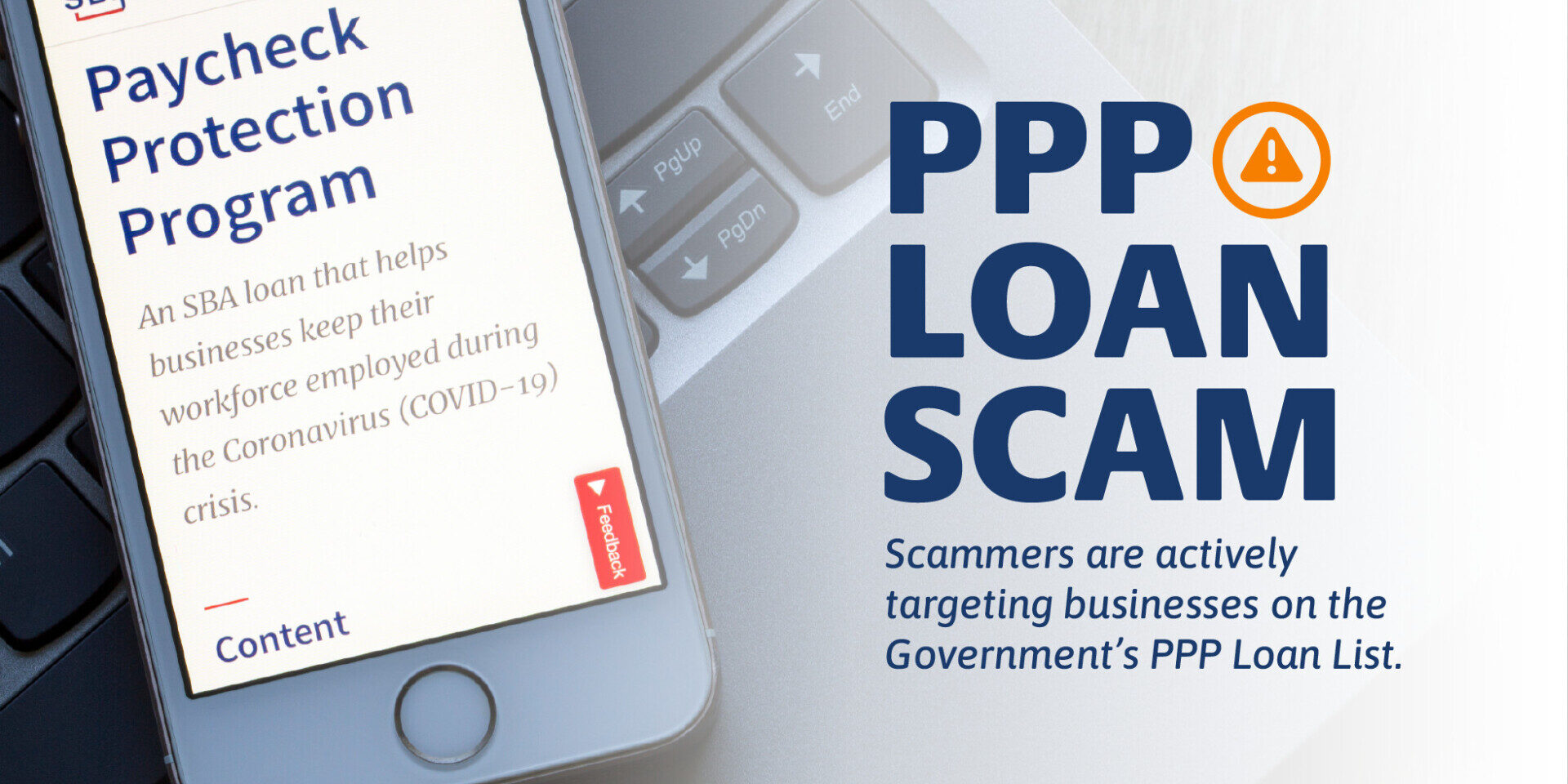 Graphic stating "PPP Loan Scam Alert. Scammers are actively targeting businesses on the Government’s PPP Loan List."