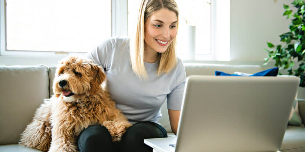 A woman sits on a couch working on a laptop with a fluffy dog beside her, both looking at the screen.