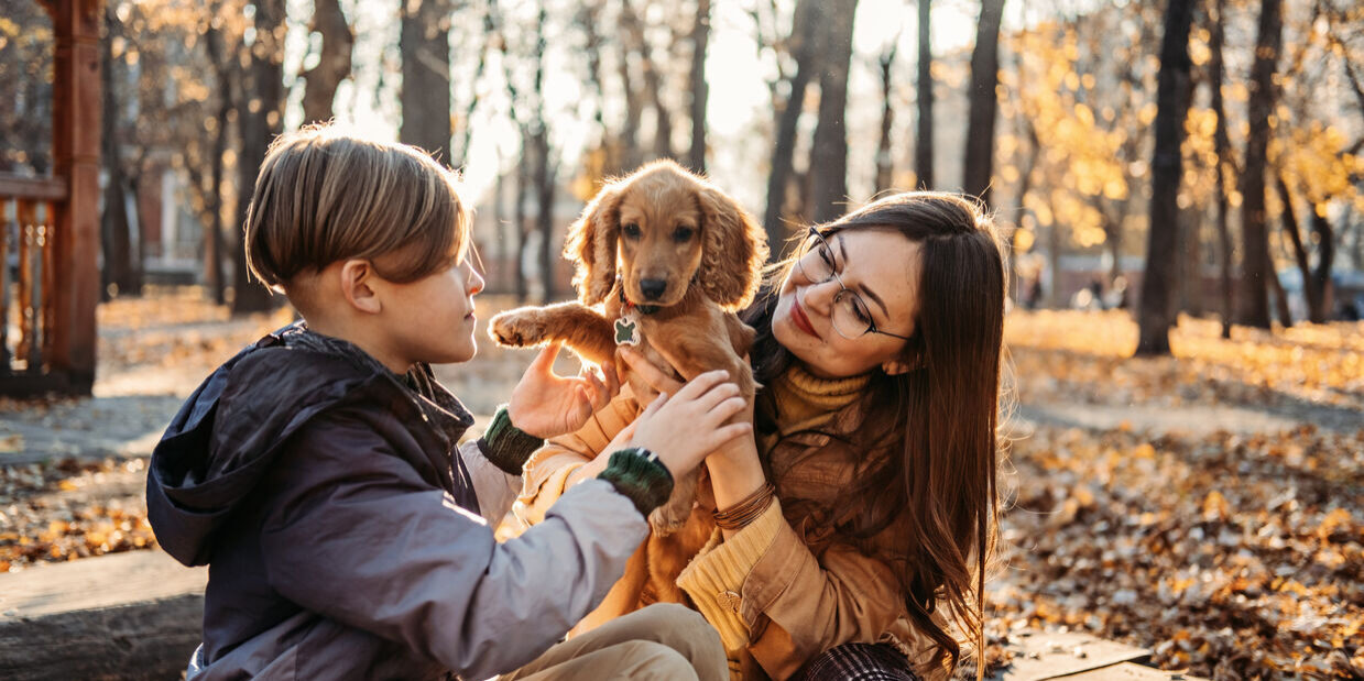 A boy and woman smile as they cuddle a small golden-brown puppy on a park bench, surrounded by sunlit autumn leaves and trees.